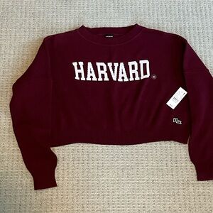 Harvard Maroon Cropped Sweater